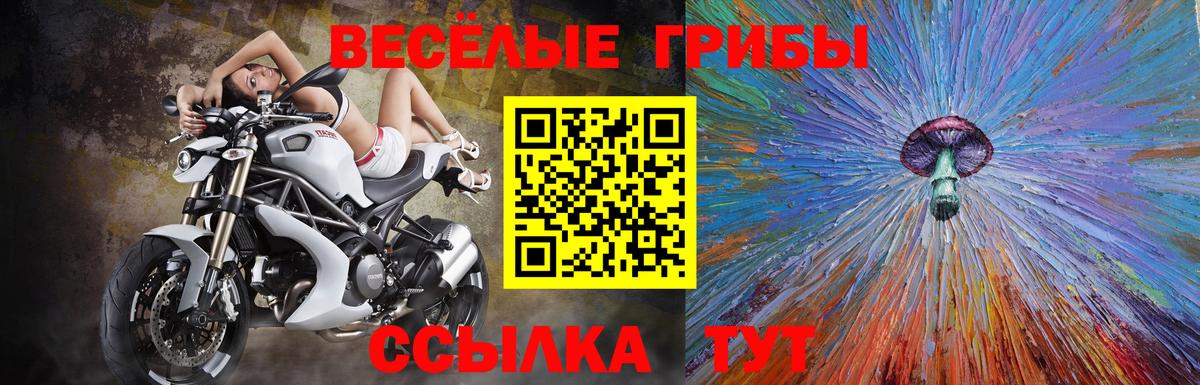 Галлюциногенные грибы прущие грибы  Галлюциногенные грибы GOLDEN TEACHER  Дедовск  Вход с VPN 